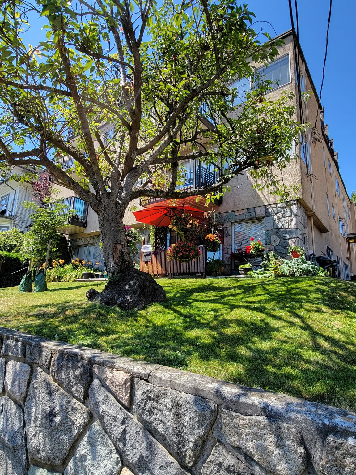 Carnarvon Apartments - Studio - Unit 204 in New Westminster