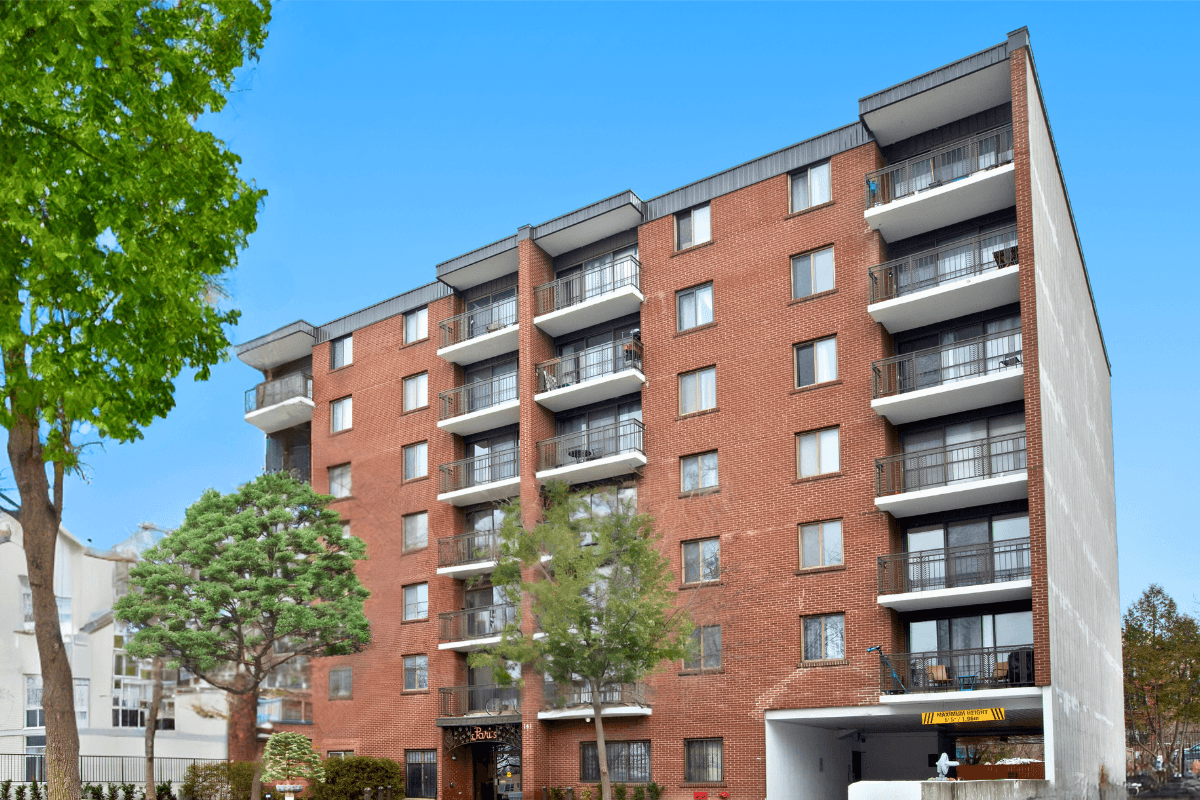 1 Bedroom available at 141 Augusta Street, Ottawa in Ottawa
